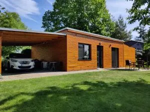 Apartman pod lipou - samostatny objekt - Nový Ples