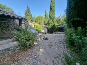 Grand Mas Provençal avec jacuzzi