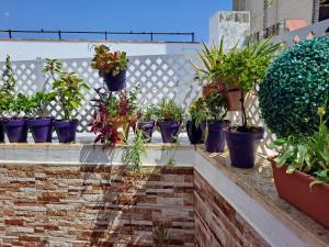 Atico Duplex Marques de Reyes