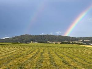 Apartament Pod Orzechem