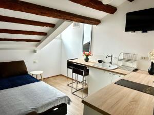 Romeo apartments Rovigno