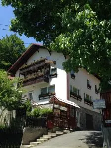 Vila Thomas - Coada Izvorului