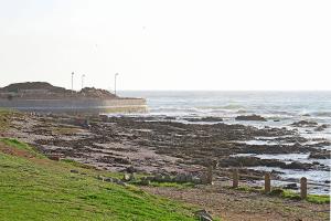 Sandringham Studio 56