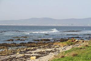 Sandringham Studio 56