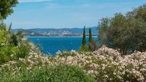 Villa vue mer presqu'ile de giens avec piscine - La Madrague