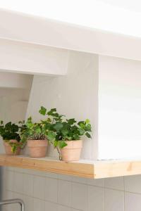 Pere Alcantara 40, 3 bedroom house, Ciutadella