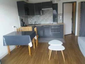 Appartement pieds des pistes au Pla d'Adet à Saint Lary Soulan - 阿拉纽埃