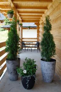 Domki Burego w Białce Tatrzańskiej