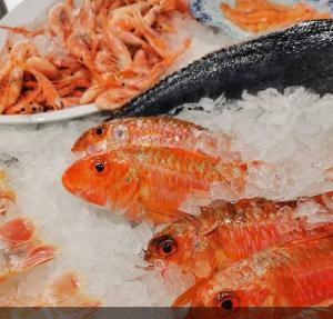 Lo Pagan Marina Center