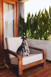 Naked Hotel Zipolite -Adults Only-