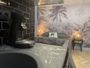 Appartements Studio Une Nuit chez Louis : photos des chambres