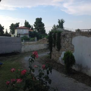 Peaceful Apartments in Elani