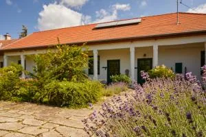 Barta Pince Vendégház Mád - Mezőzombor