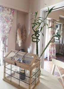 Steps to the Acropolis, museum view and balcony