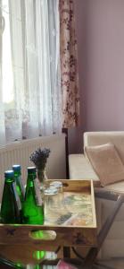 Gandelinka Park Kędrzyno