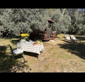 Tentes de luxe Roulotte / Tiny House dans les Alpilles : photos des chambres