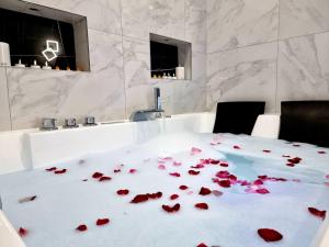 Suite BULLE DAMOUR Balnèo Spa & Terrasse à 5 min des plages