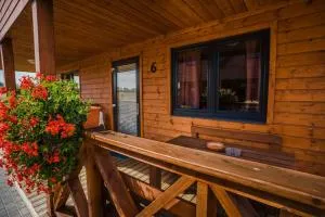 Havana Sarbinowo - Pleśna