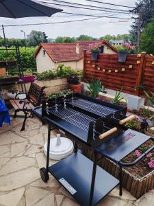 Villas Comfortable house 20 min to Paris with garden and BBQ : photos des chambres