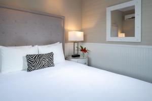 Room 3: Queen Room room in Alexander's Gay Lesbian Guesthouse (Adult Only 21+)