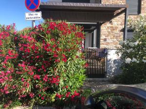 Apartment Petrovic Medulin