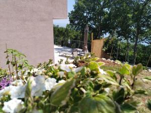 Holiday house Jovich