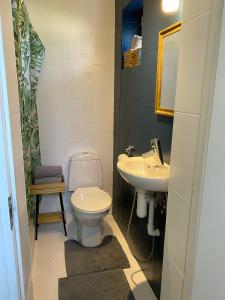 3 bedroom apartment near the city center