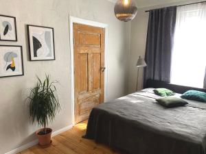 3 bedroom apartment near the city center