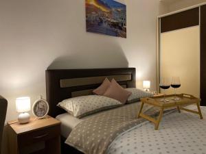 Apartman NS Dan CENTAR