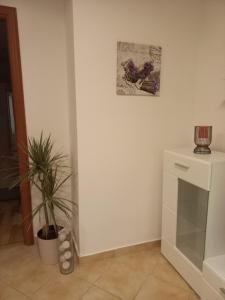 Udoban stan na Pecinama