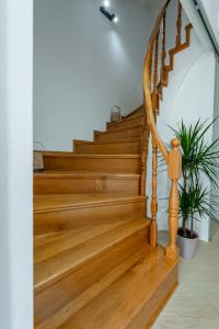 Luxury Apartment Coccinella & New Deluxe Apartment Felicita