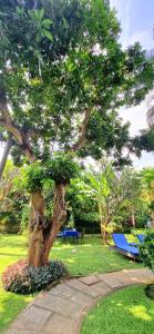 Balinda Rooms & Villa