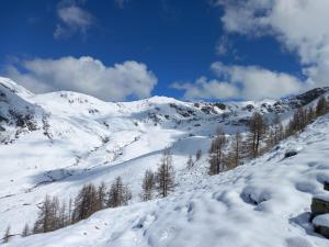 Appartements Tres agreable 2 pieces au pied des pistes : photos des chambres