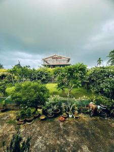 Namdang Homestay