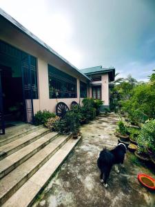 Namdang Homestay