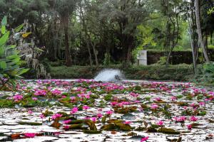 Marriotts Phuket Beach Club