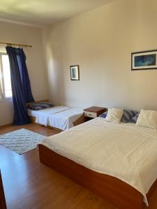 Apartments Flowers - by TA Leut Agency