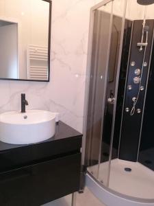 Grand appartement RDC clim - jacuzzi - parking
