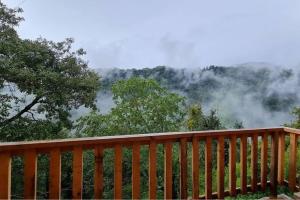 Colibri - Cabañas Puerto del Zopilote