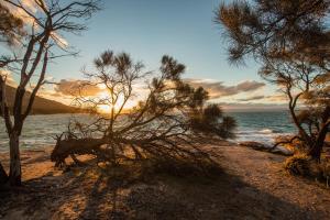 Freycinet National Park, Coles Bay Rd, Coles Bay TAS 7215, Australia.