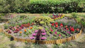 Apartament dla pary Stara Szkoła