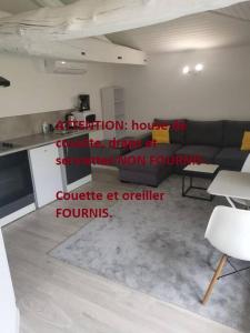 Appartements Studio Champagne les marais. : photos des chambres