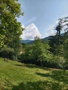 House Menchul - Tereblya