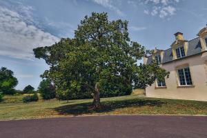 Appartements Domaine Grand Piquecaillou - L'appartement Saint Emilion : photos des chambres