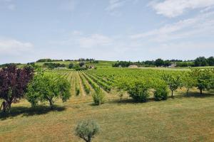 Appartements Domaine Grand Piquecaillou - L'appartement Saint Emilion : photos des chambres