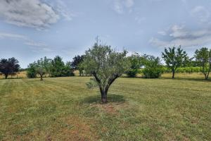 Appartements Domaine Grand Piquecaillou - L'appartement Saint Emilion : photos des chambres