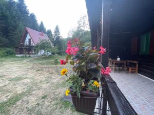 Cottage in the wild Pješčanica