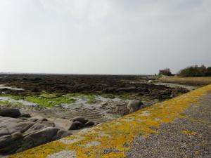 Maisons de vacances Maison charmante avec jardin et barbecue a Penmarch : photos des chambres