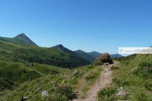 Maisons de vacances Gite 2/4 pers, Piscine-Wifi Calme, nature : photos des chambres