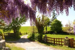 Maisons de vacances Gite 2/4 pers, Piscine-Wifi Calme, nature : photos des chambres